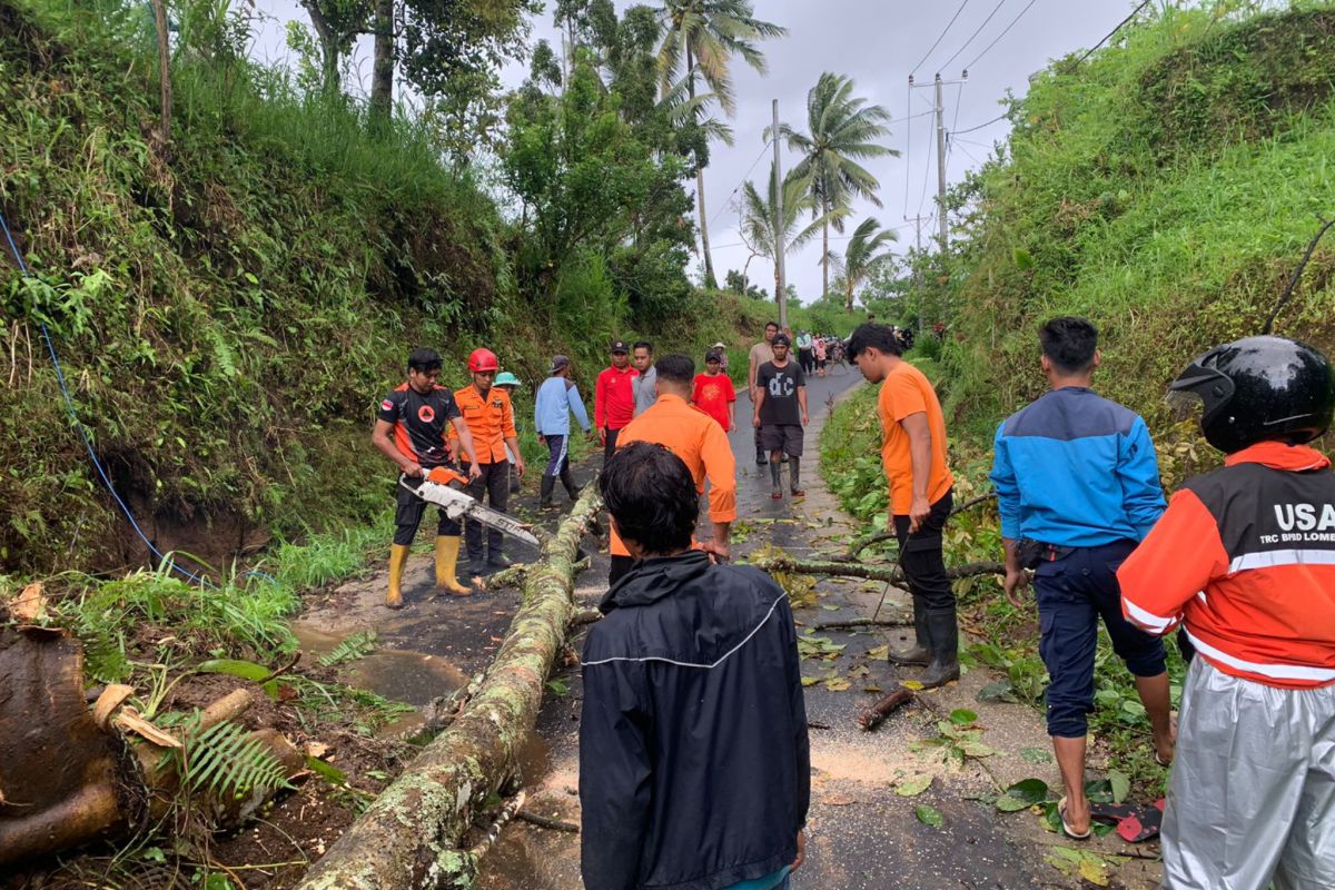 Bencana Alam Melanda Wilayah Timur, Ini Dampaknya